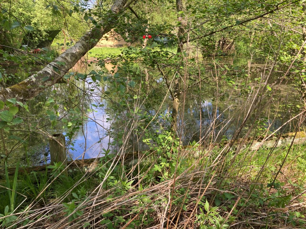 Crabbetts Marsh, Horning, Norfolk, NR12 8JP - Online Auctions