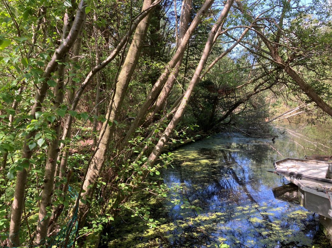 Crabbetts Marsh, Horning, Norfolk, NR12 8JP - Online Auctions