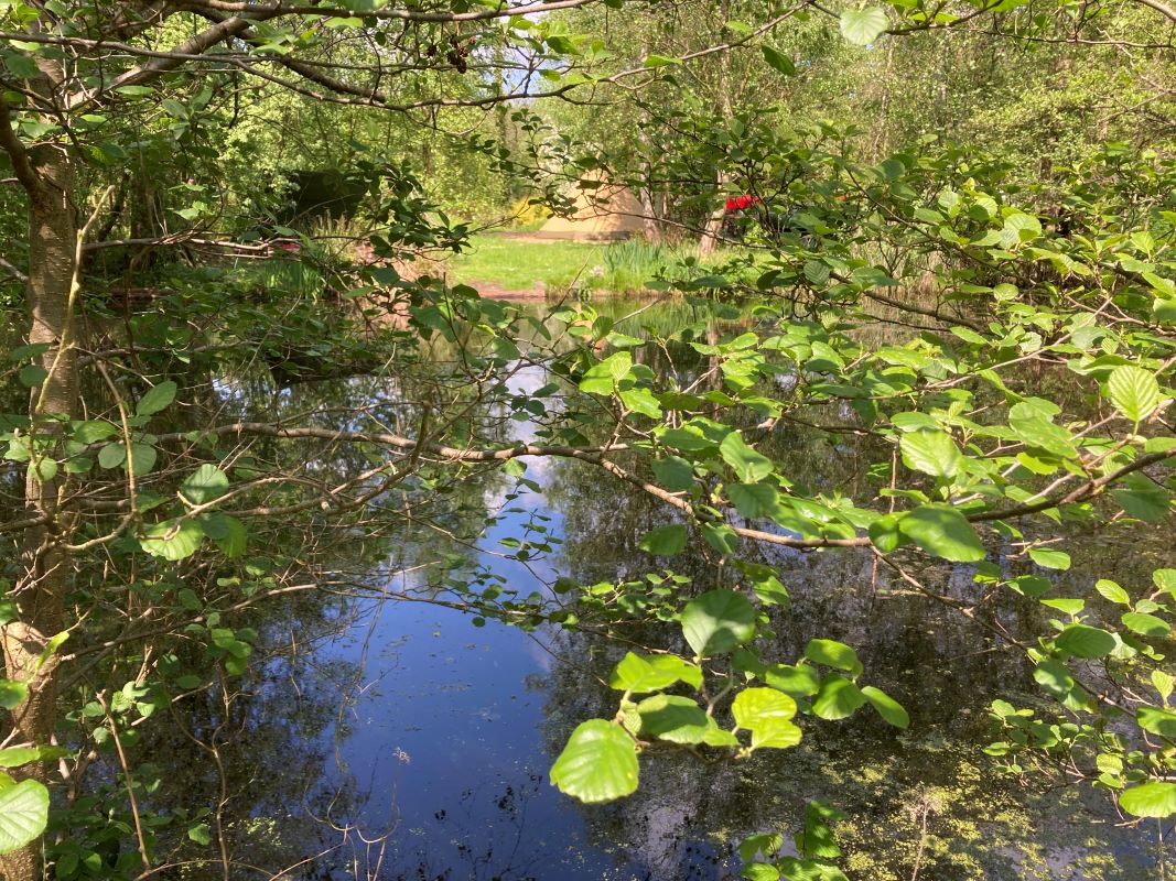 Crabbetts Marsh, Horning, Norfolk, NR12 8JP - Online Auctions