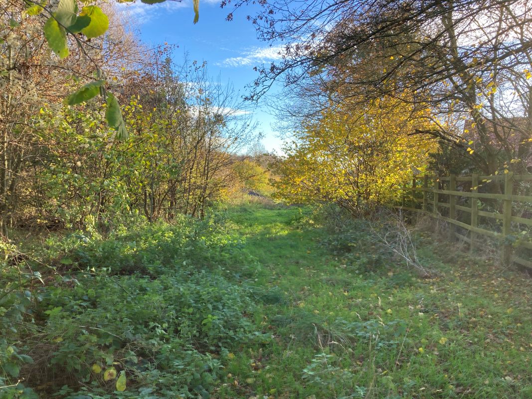 Land, Mill Road, Whitwell, Reepham, Norwich, Norfolk, NR10 4RD - Online Auctions