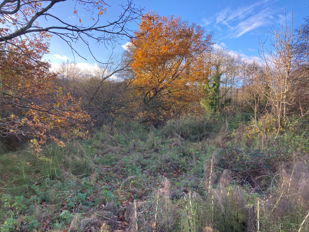 Land, Mill Road, Whitwell, Reepham, Norwich, Norfolk, NR10 4RD - Online Auctions