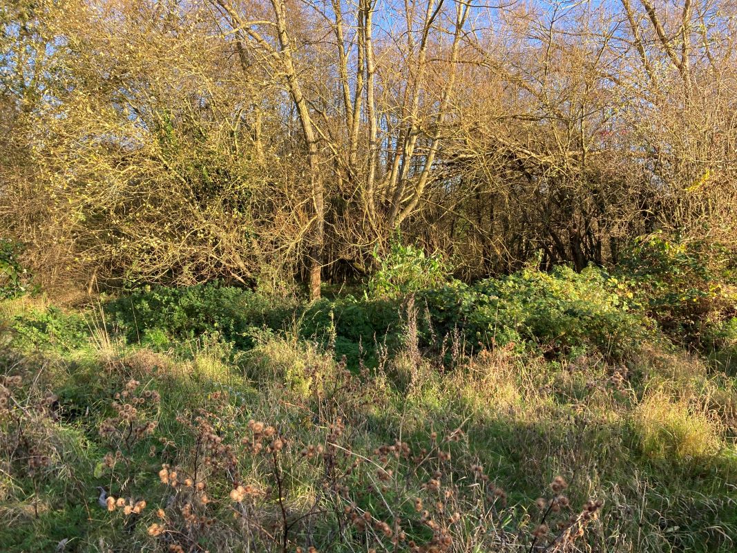 Land, Mill Road, Whitwell, Reepham, Norwich, Norfolk, NR10 4RD - Online Auctions