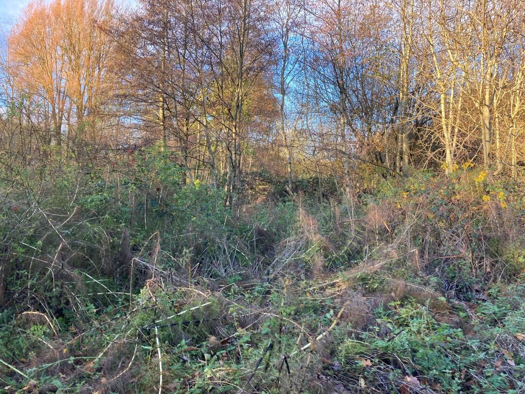 Land, Mill Road, Whitwell, Reepham, Norwich, Norfolk, NR10 4RD - Online Auctions