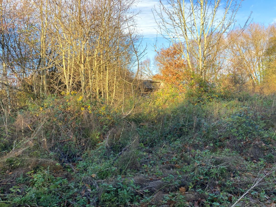 Land, Mill Road, Whitwell, Reepham, Norwich, Norfolk, NR10 4RD - Online Auctions