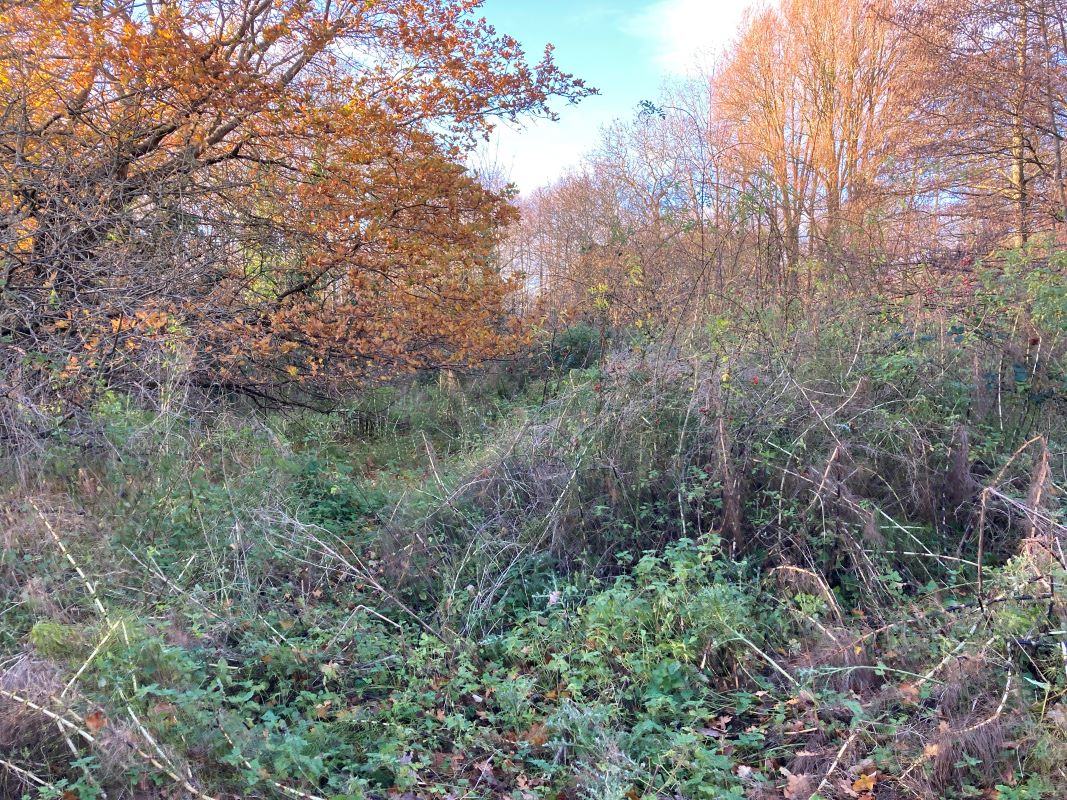 Land, Mill Road, Whitwell, Reepham, Norwich, Norfolk, NR10 4RD - Online Auctions