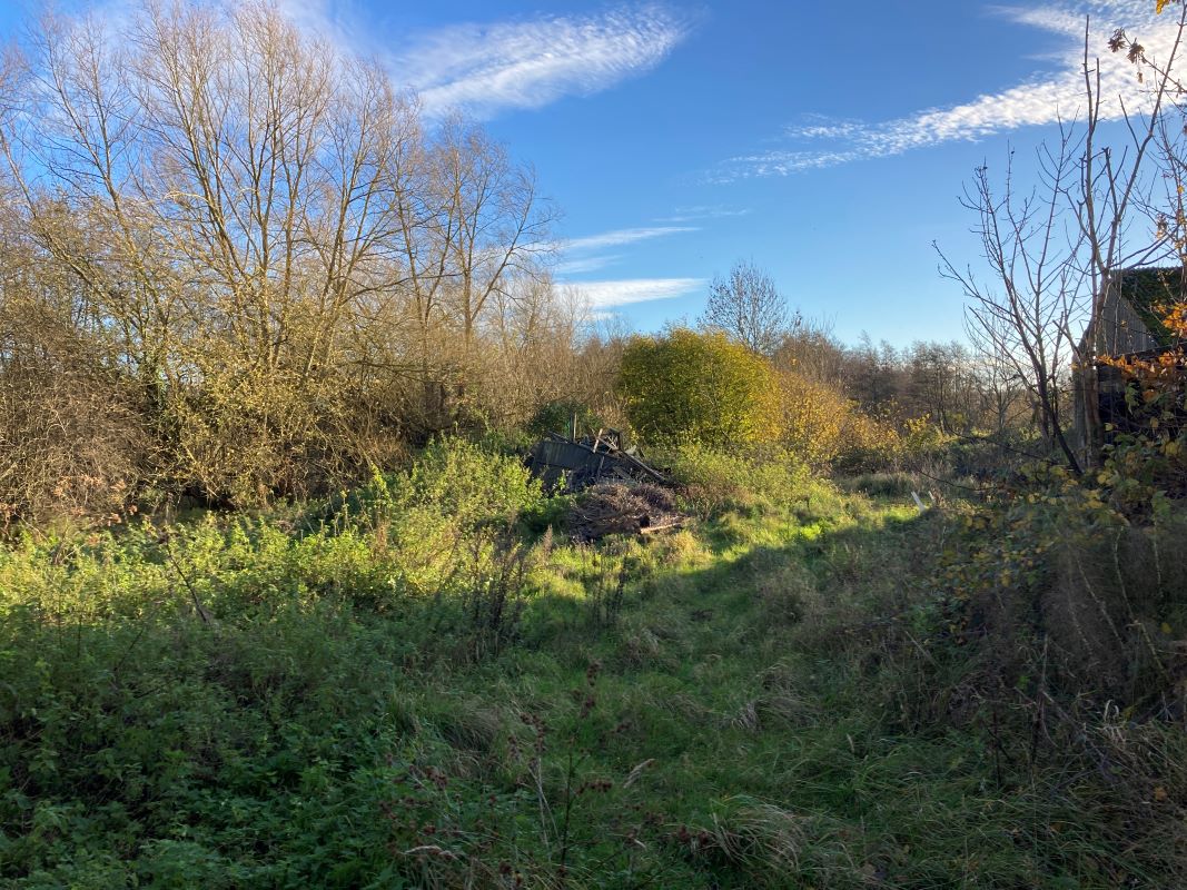 Land, Mill Road, Whitwell, Reepham, Norwich, Norfolk, NR10 4RD - Online Auctions
