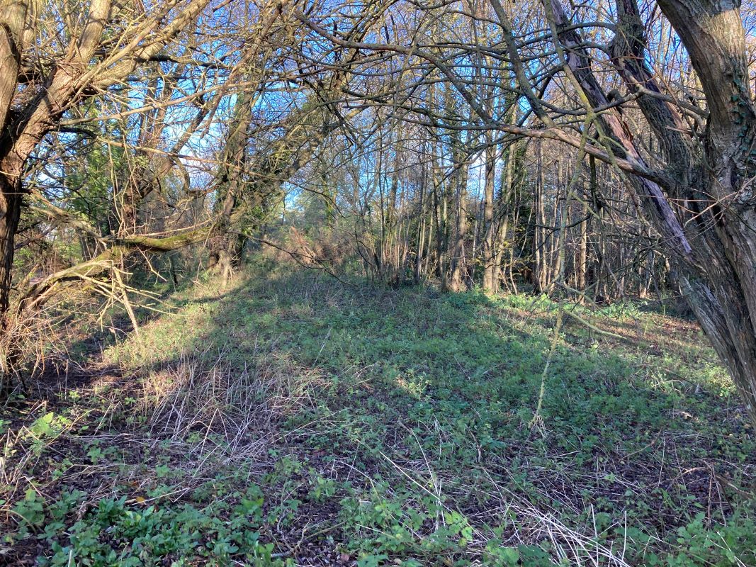 Land, Mill Road, Whitwell, Reepham, Norwich, Norfolk, NR10 4RD - Online Auctions