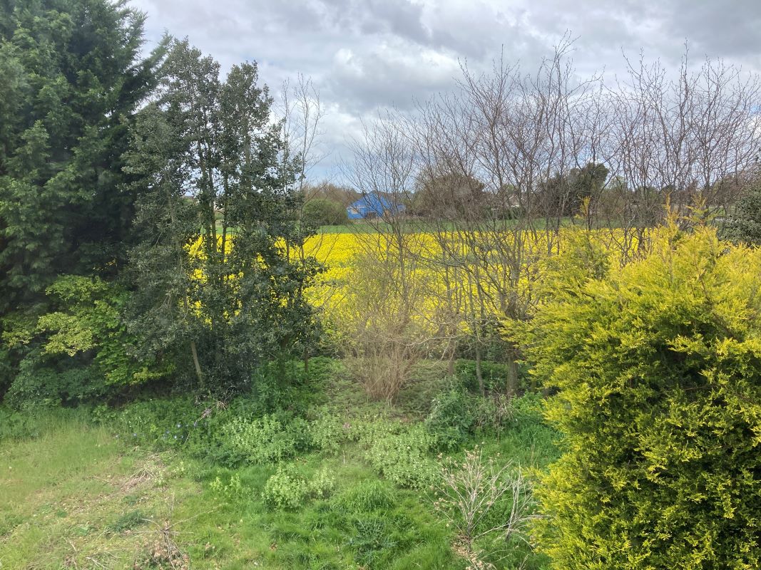 Putney Hill Road, Prickwillow, Ely, Cambridgeshire, CB7 4UU - Online Auctions