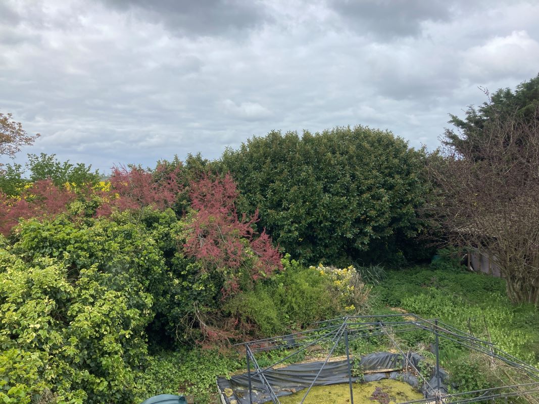 Putney Hill Road, Prickwillow, Ely, Cambridgeshire, CB7 4UU - Online Auctions