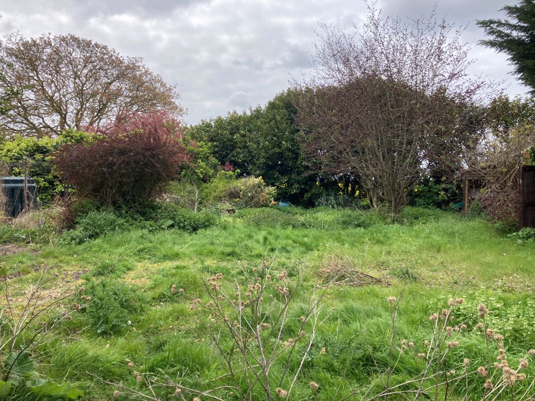 Putney Hill Road, Prickwillow, Ely, Cambridgeshire, CB7 4UU - Online Auctions