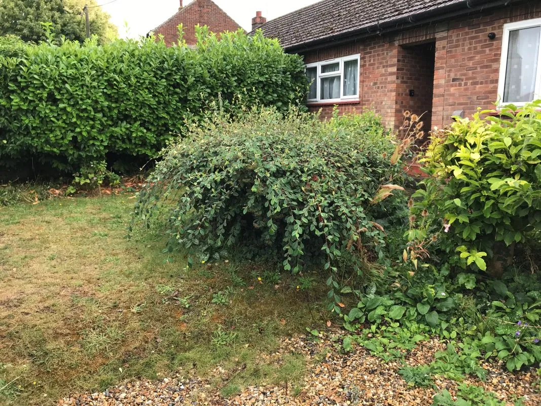 St. Michaels Crescent, Great Cressingham, Thetford, Norfolk, IP25 6NH - Online Auctions