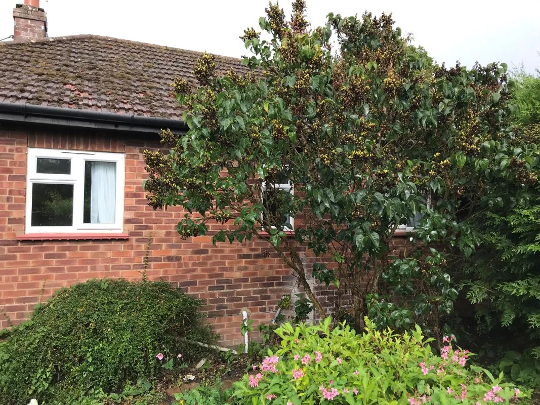 St. Michaels Crescent, Great Cressingham, Thetford, Norfolk, IP25 6NH - Online Auctions
