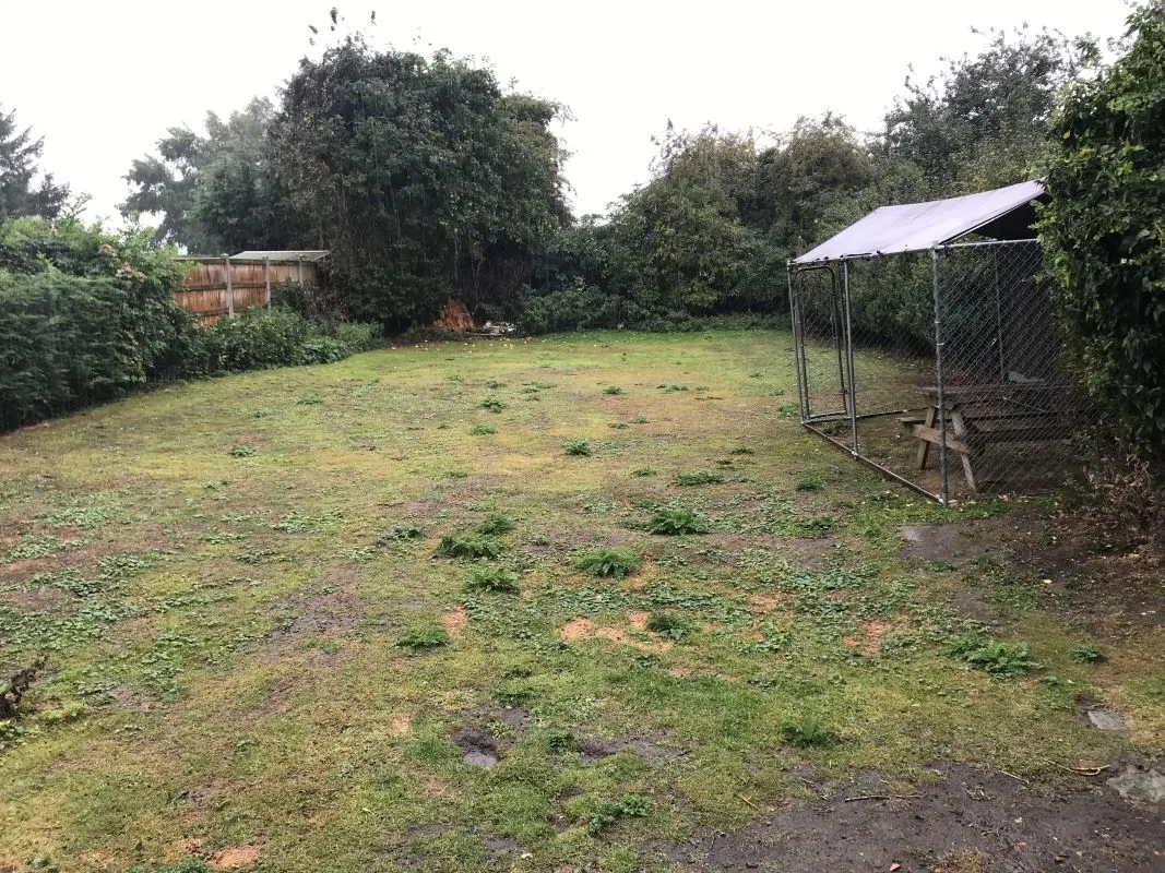 Thursford Road, Great Snoring, Fakenham, Norfolk, NR21 0HW - Online Auctions