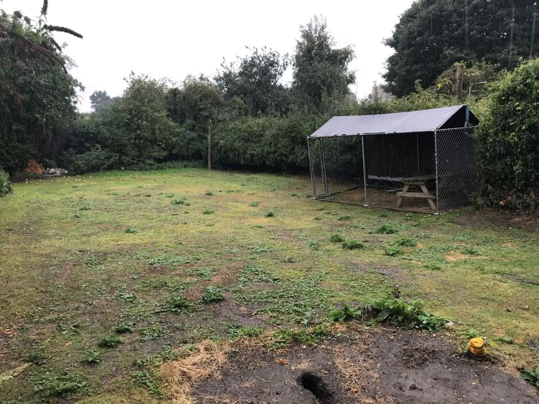 Thursford Road, Great Snoring, Fakenham, Norfolk, NR21 0HW - Online Auctions