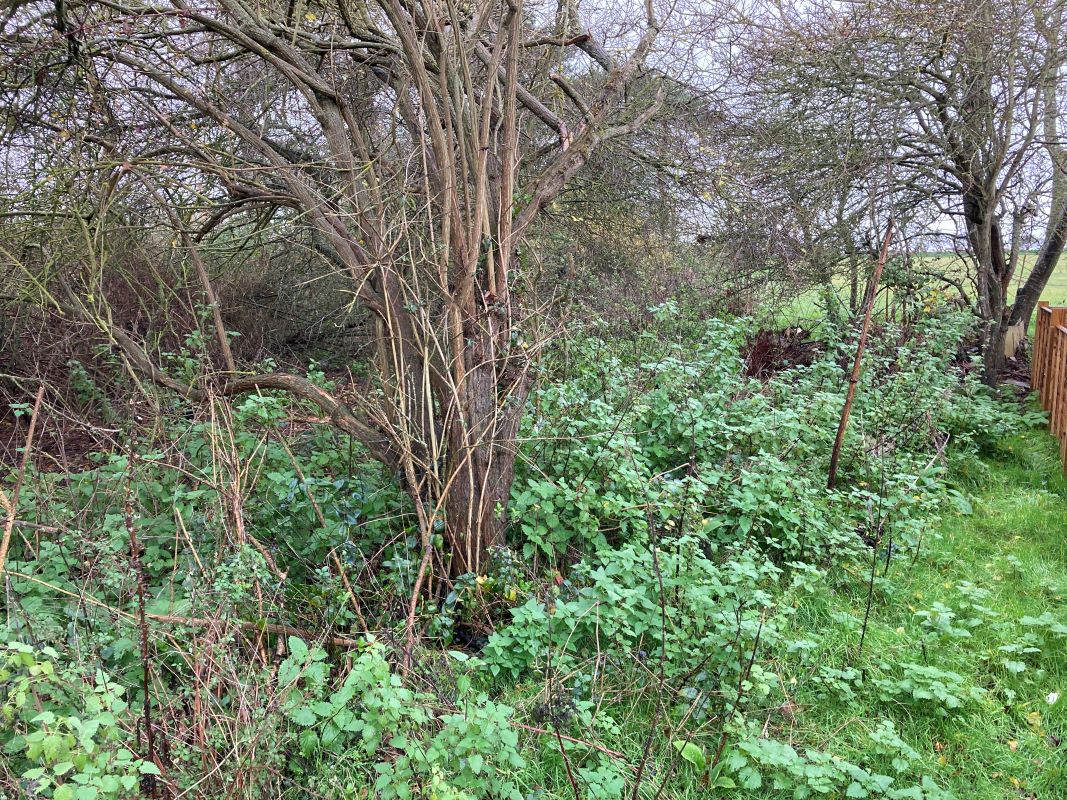 Pilgrims Way, Thorpeness, Leiston, Suffolk, IP16 4LZ - Online Auctions