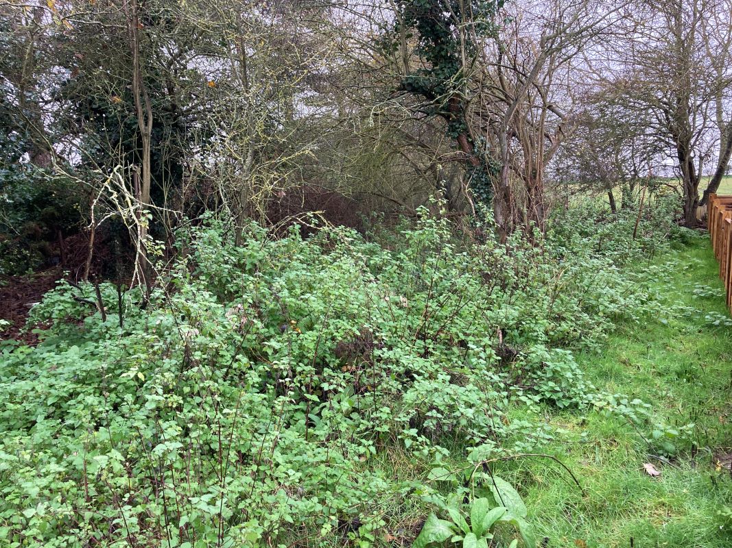 Pilgrims Way, Thorpeness, Leiston, Suffolk, IP16 4LZ - Online Auctions