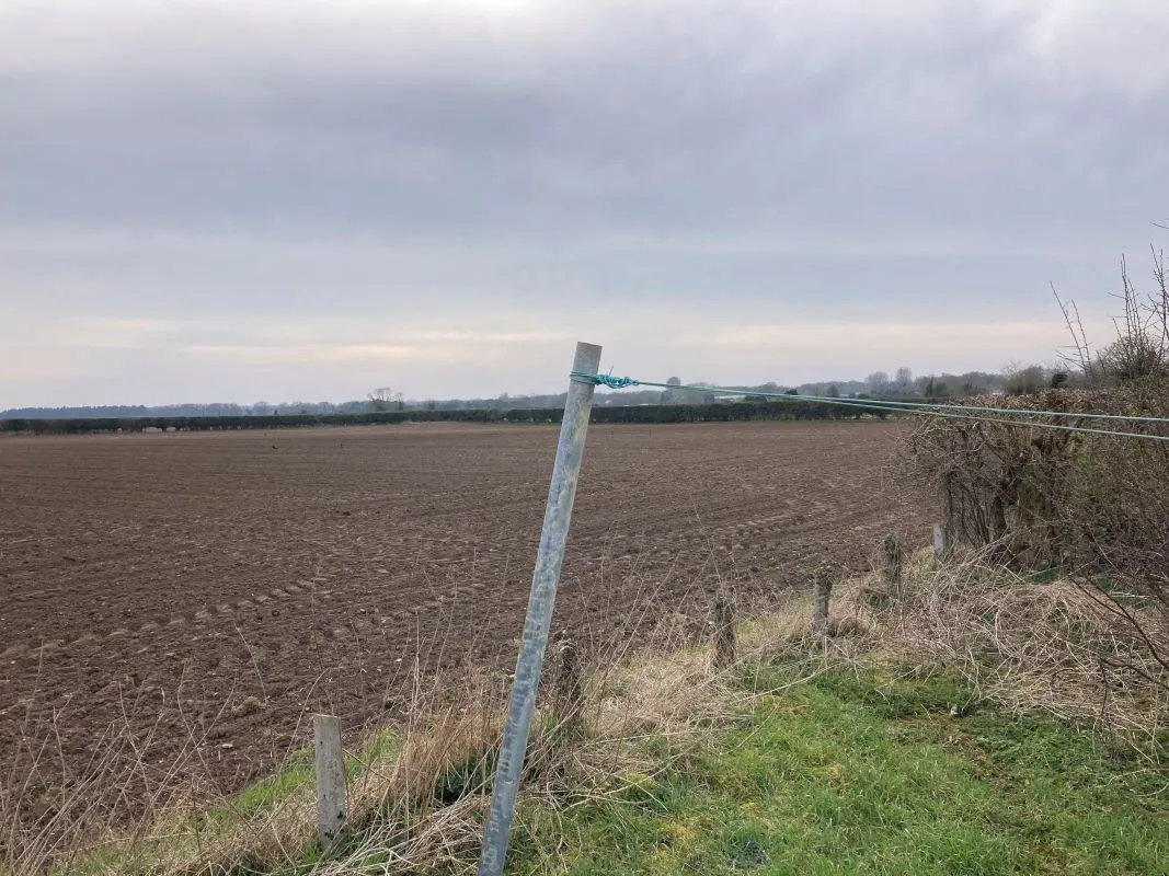 St. Georges Terrace, Gooderstone, King's Lynn, Norfolk, PE33 9BT - Online Auctions