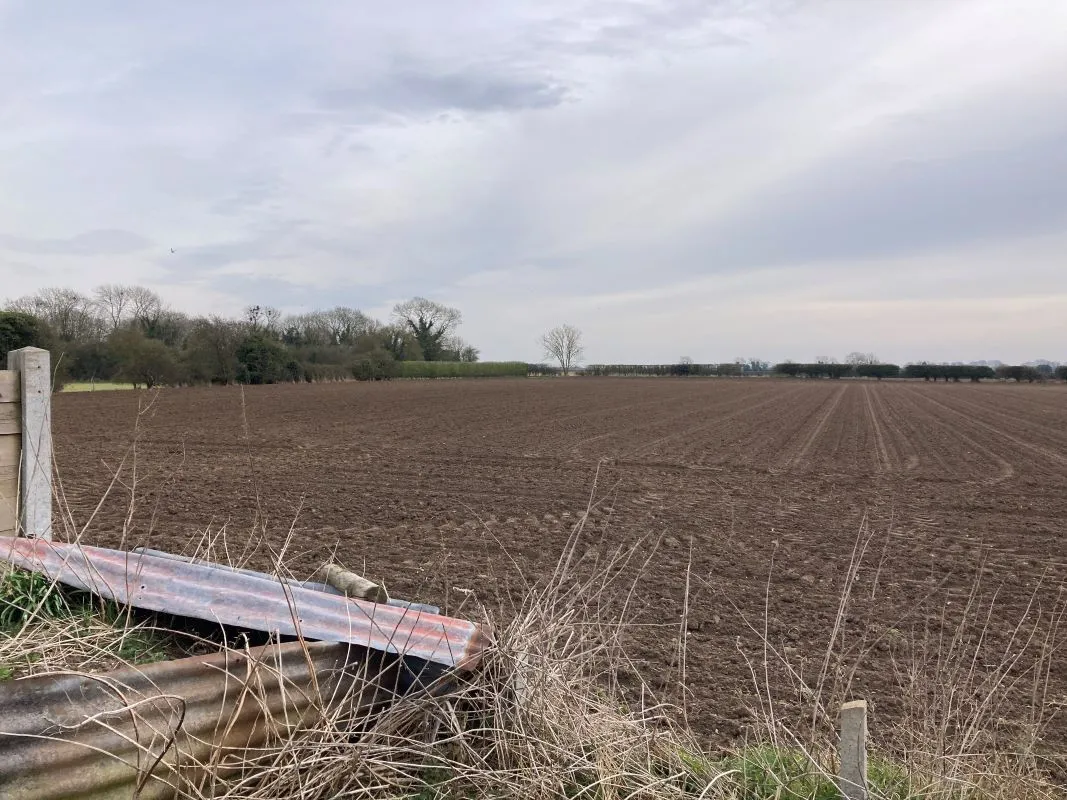 St. Georges Terrace, Gooderstone, King's Lynn, Norfolk, PE33 9BT - Online Auctions