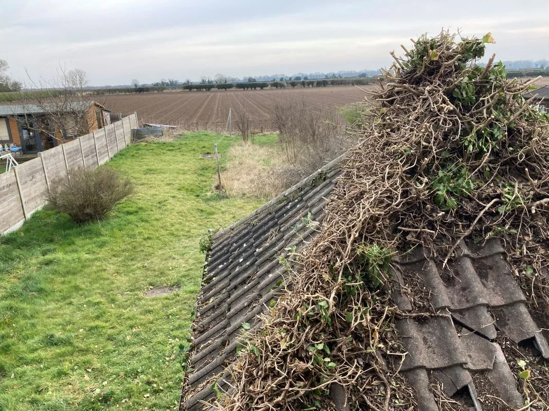 St. Georges Terrace, Gooderstone, King's Lynn, Norfolk, PE33 9BT - Online Auctions