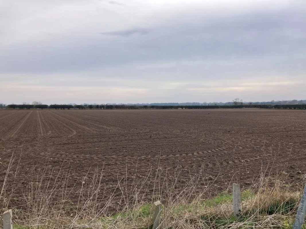 St. Georges Terrace, Gooderstone, King's Lynn, Norfolk, PE33 9BT - Online Auctions