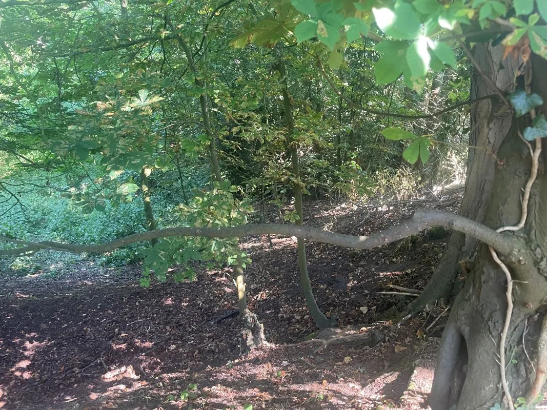 Parcel of Land, Squires Road, Halvergate, Norwich, Norfolk, NR13 3PZ - Online Auctions