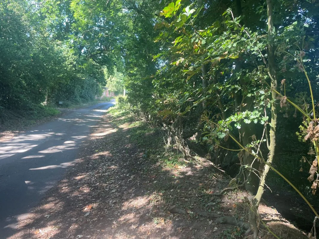 Parcel of Land, Squires Road, Halvergate, Norwich, Norfolk, NR13 3PZ - Online Auctions