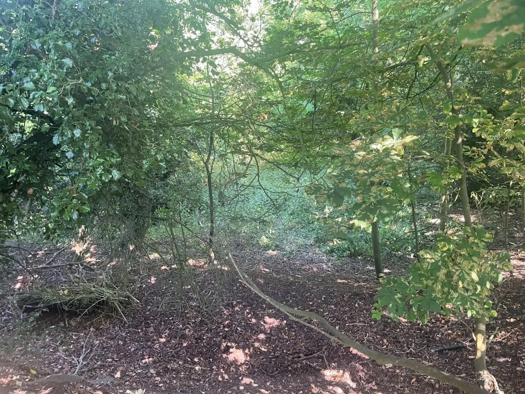 Parcel of Land, Squires Road, Halvergate, Norwich, Norfolk, NR13 3PZ - Online Auctions
