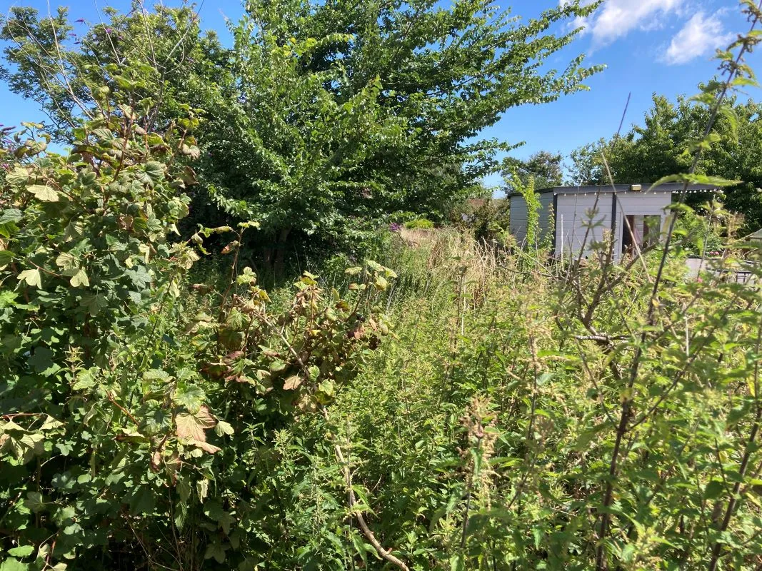 Whimpwell Street, Happisburgh, Norwich, Norfolk, NR12 0QD - Online Auctions