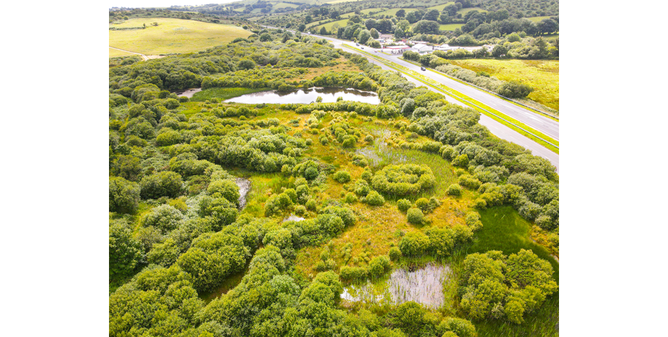 Trewint Marsh, Altarnun, Launceston, Cornwall, PL15 7TF