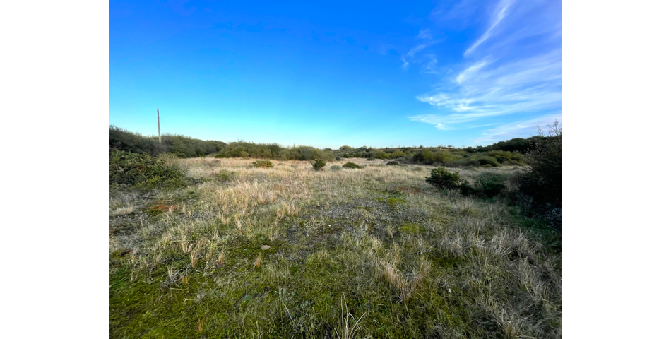 Trewint Marsh, Altarnun, Launceston, Cornwall, PL15 7TF
