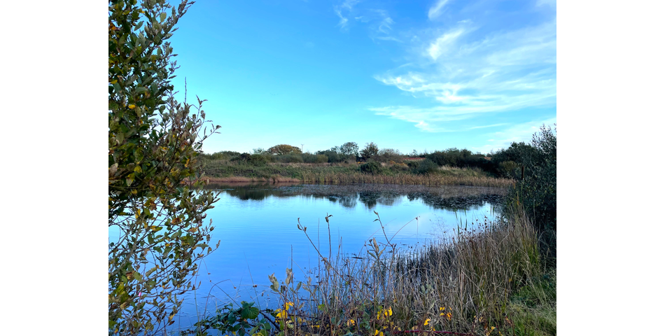 Trewint Marsh, Altarnun, Launceston, Cornwall, PL15 7TF