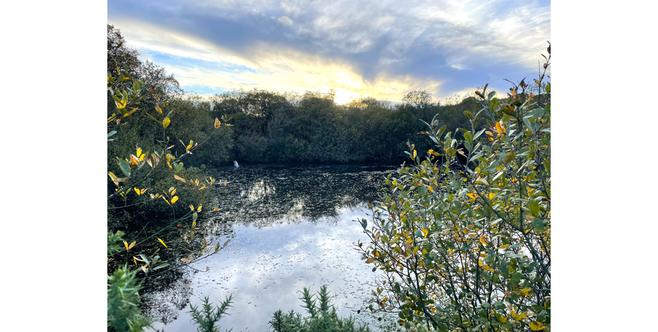 Trewint Marsh, Altarnun, Launceston, Cornwall, PL15 7TF
