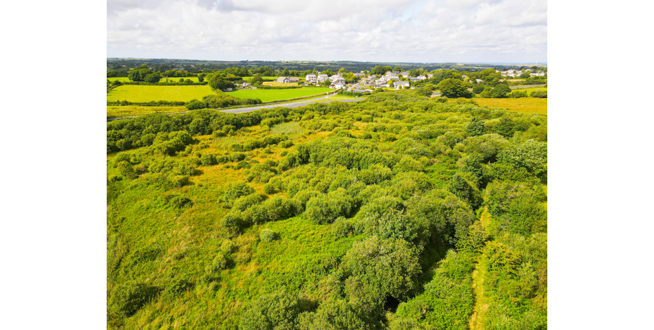 Trewint Marsh, Altarnun, Launceston, Cornwall, PL15 7TF
