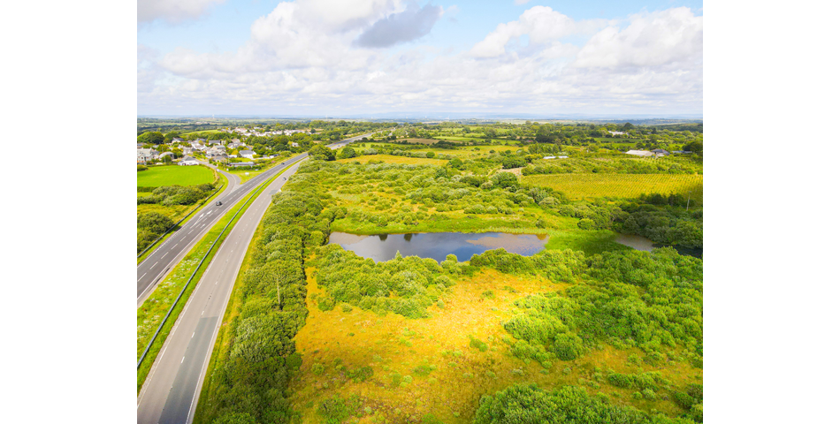 Trewint Marsh, Altarnun, Launceston, Cornwall, PL15 7TF
