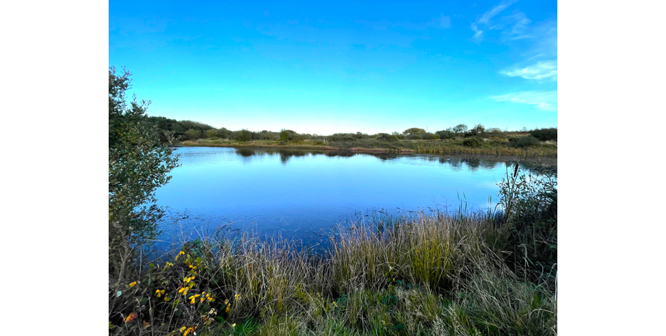 Trewint Marsh, Altarnun, Launceston, Cornwall, PL15 7TF