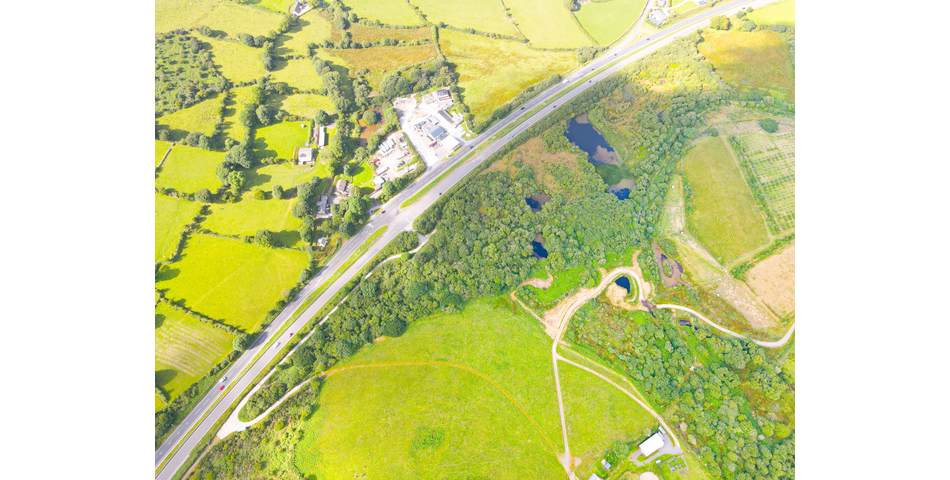 Trewint Marsh, Altarnun, Launceston, Cornwall, PL15 7TF