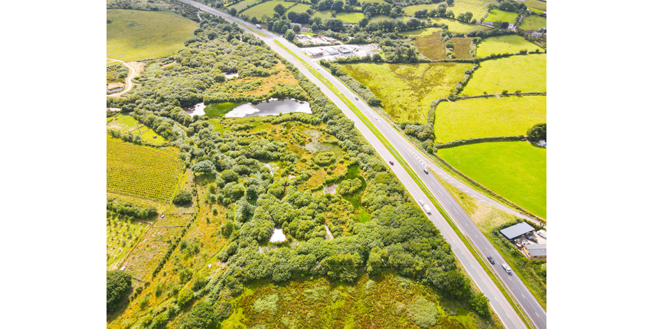 Trewint Marsh, Altarnun, Launceston, Cornwall, PL15 7TF