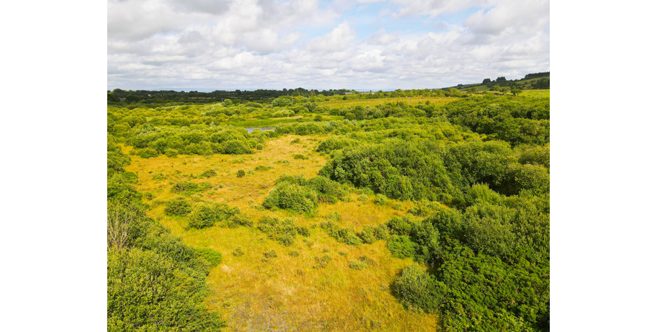 Trewint Marsh, Altarnun, Launceston, Cornwall, PL15 7TF