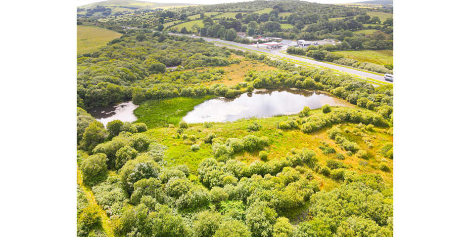 Trewint Marsh, Altarnun, Launceston, Cornwall, PL15 7TF