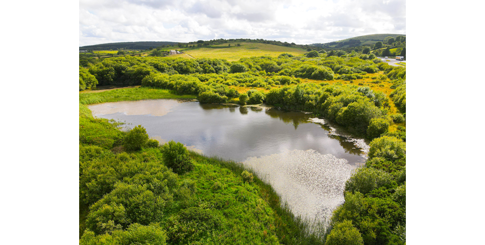 Trewint Marsh, Altarnun, Launceston, Cornwall, PL15 7TF