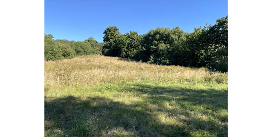 Land At Buckland St. Mary