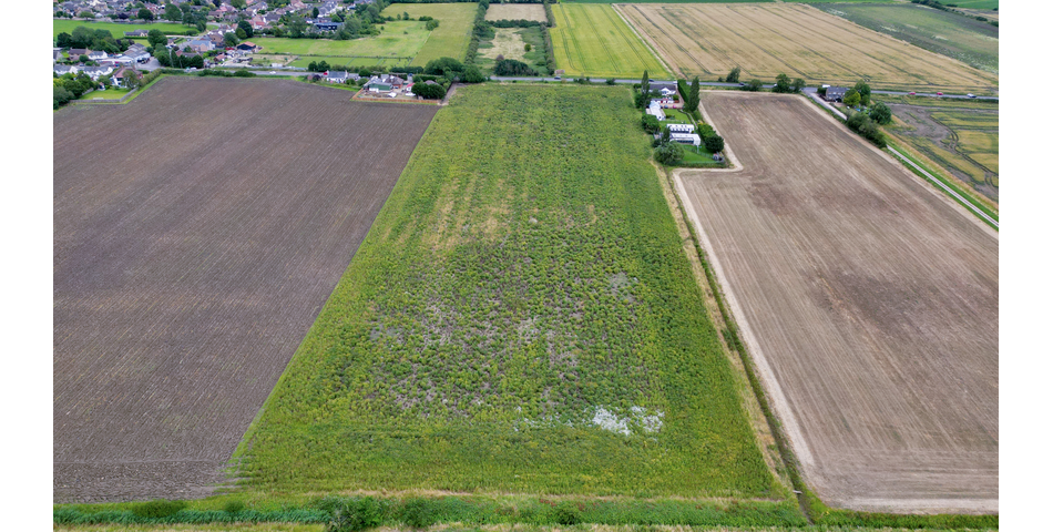 Land adjacent to Cambridge Road