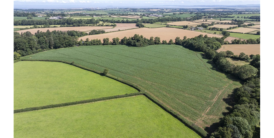 Land at Spaxton (on the Old Coach Road)