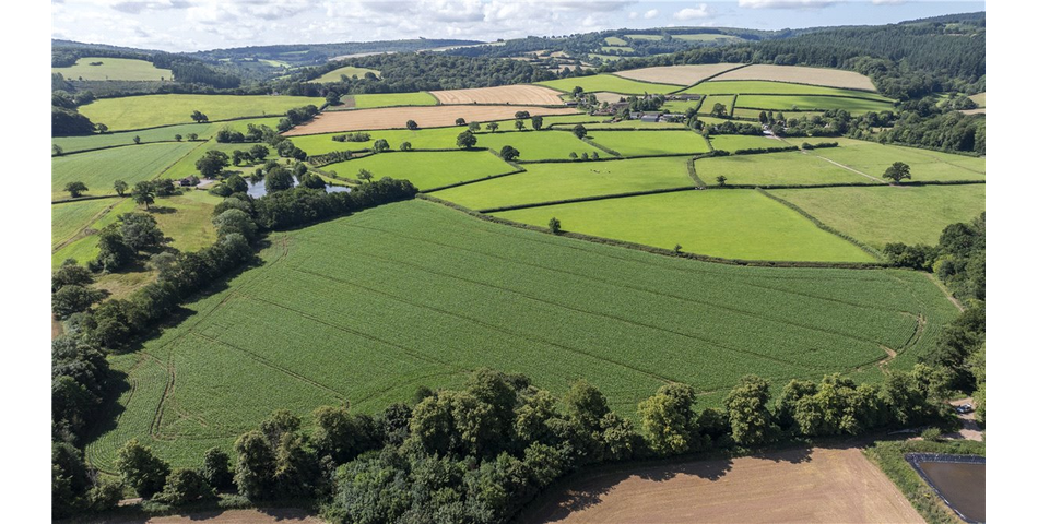 Land at Spaxton (on the Old Coach Road)