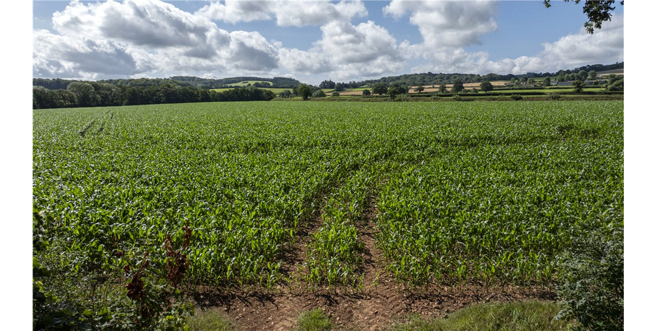 Land at Spaxton (on the Old Coach Road)