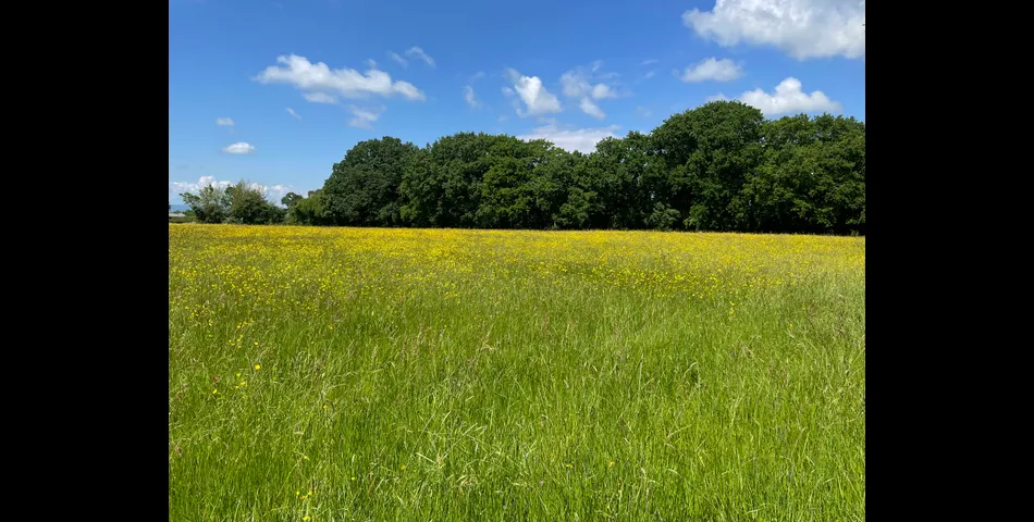Land Adjoining Quab Lane (Lot 1)