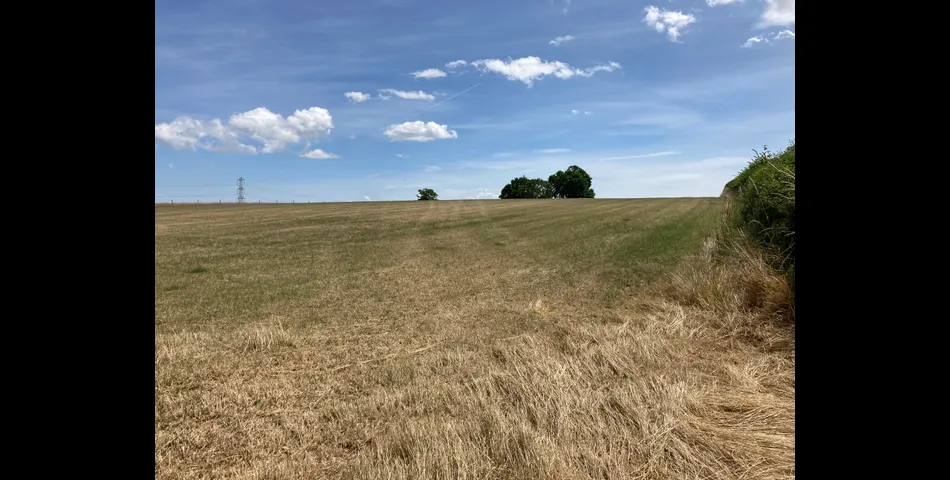 Lot 1: Land At Goathurst