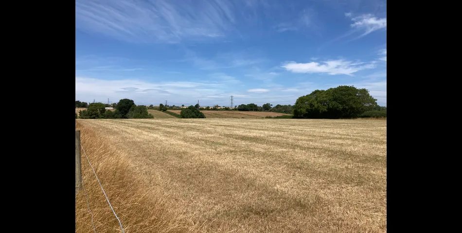 Lot 2: Land at Goathurst
