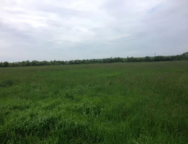 4.49 acres of Land off North Fen Drove, Haddenham, Ely, Cambridgeshire, CB6 3PS