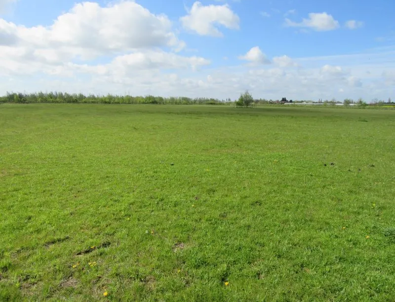 5.99 acres Stone House Road, Upwell, Wisbech, Norfolk, PE14 9EA